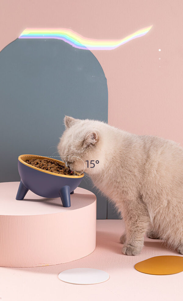 Cat Dog Bowl With Stand Pet Feeding Food Bowls Dogs Bunny Rabbit Nordic Color Feeder Product Supplies Pet Accessories - Image 2